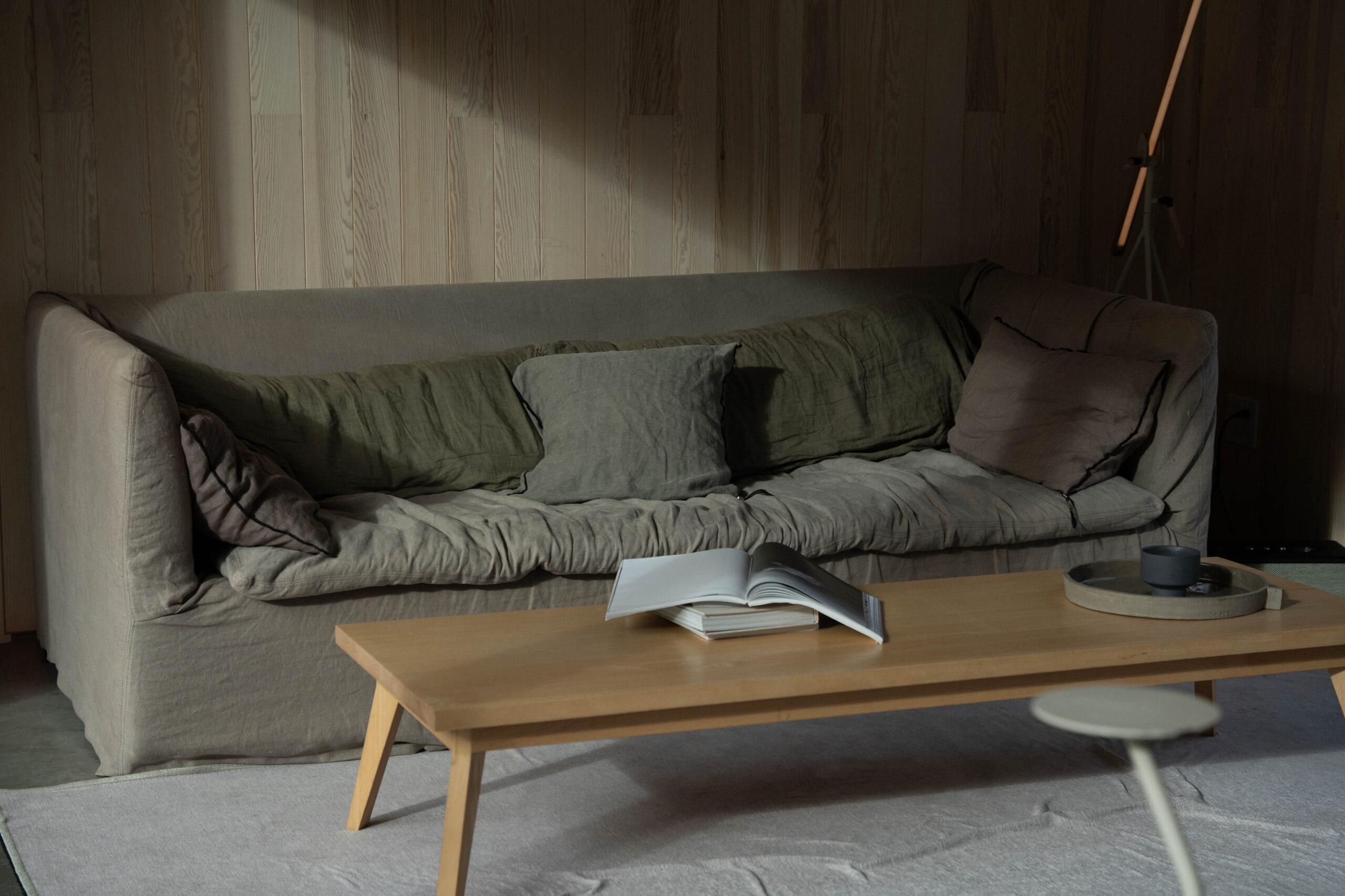 Un divan dans un espace chaleureux